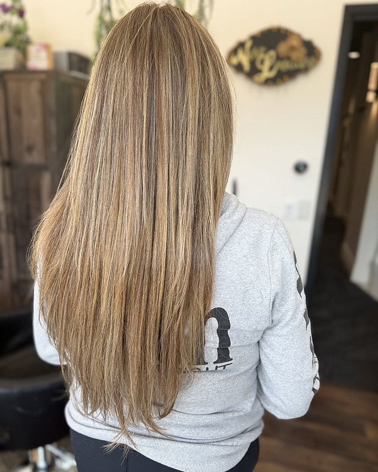 Long straight hair with fine highlights, seen from the back in the chair